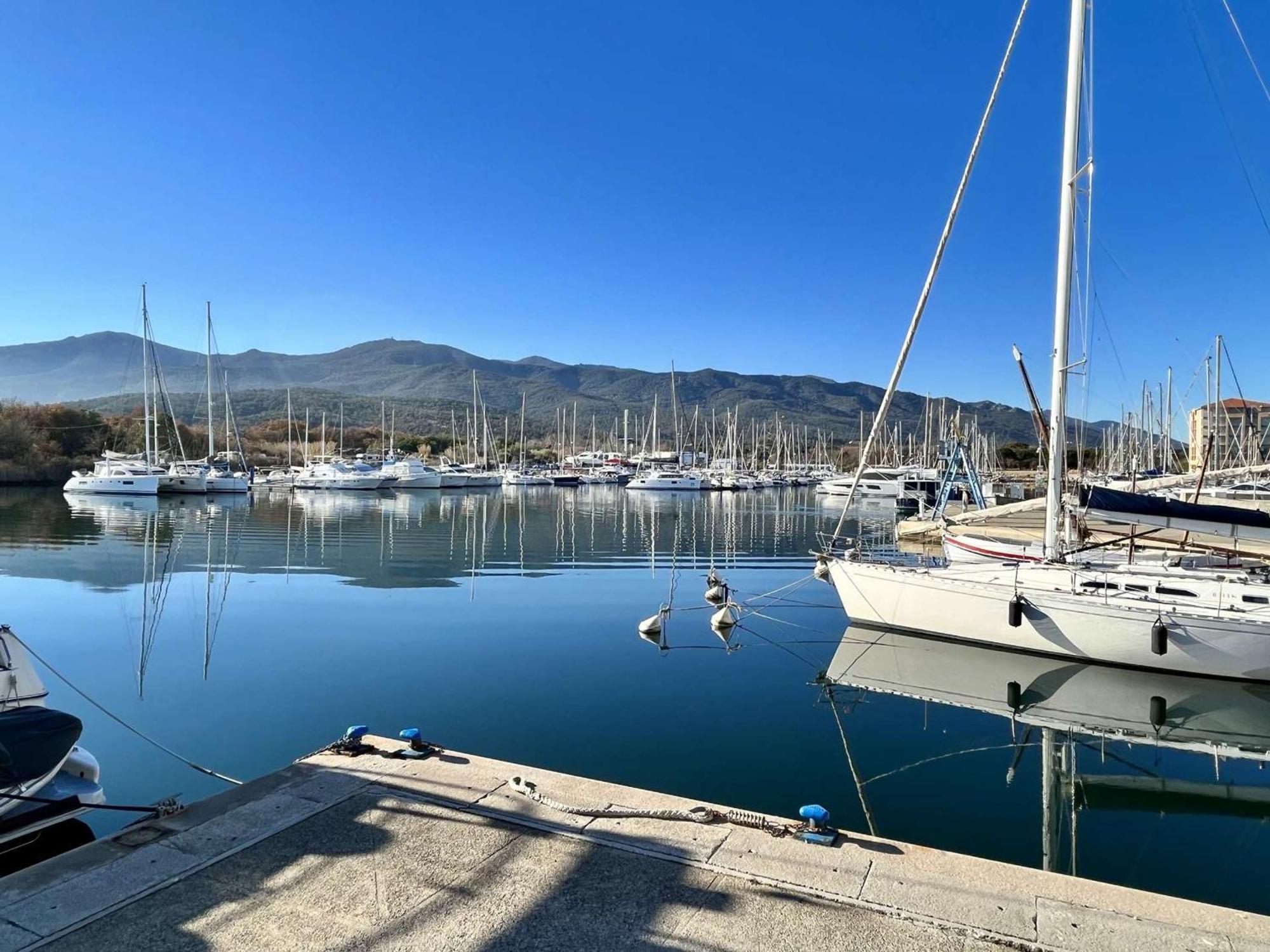 Studio Argelès-sur-Mer, 1 pièce, 4 personnes - FR-1-225-33 Esterno foto