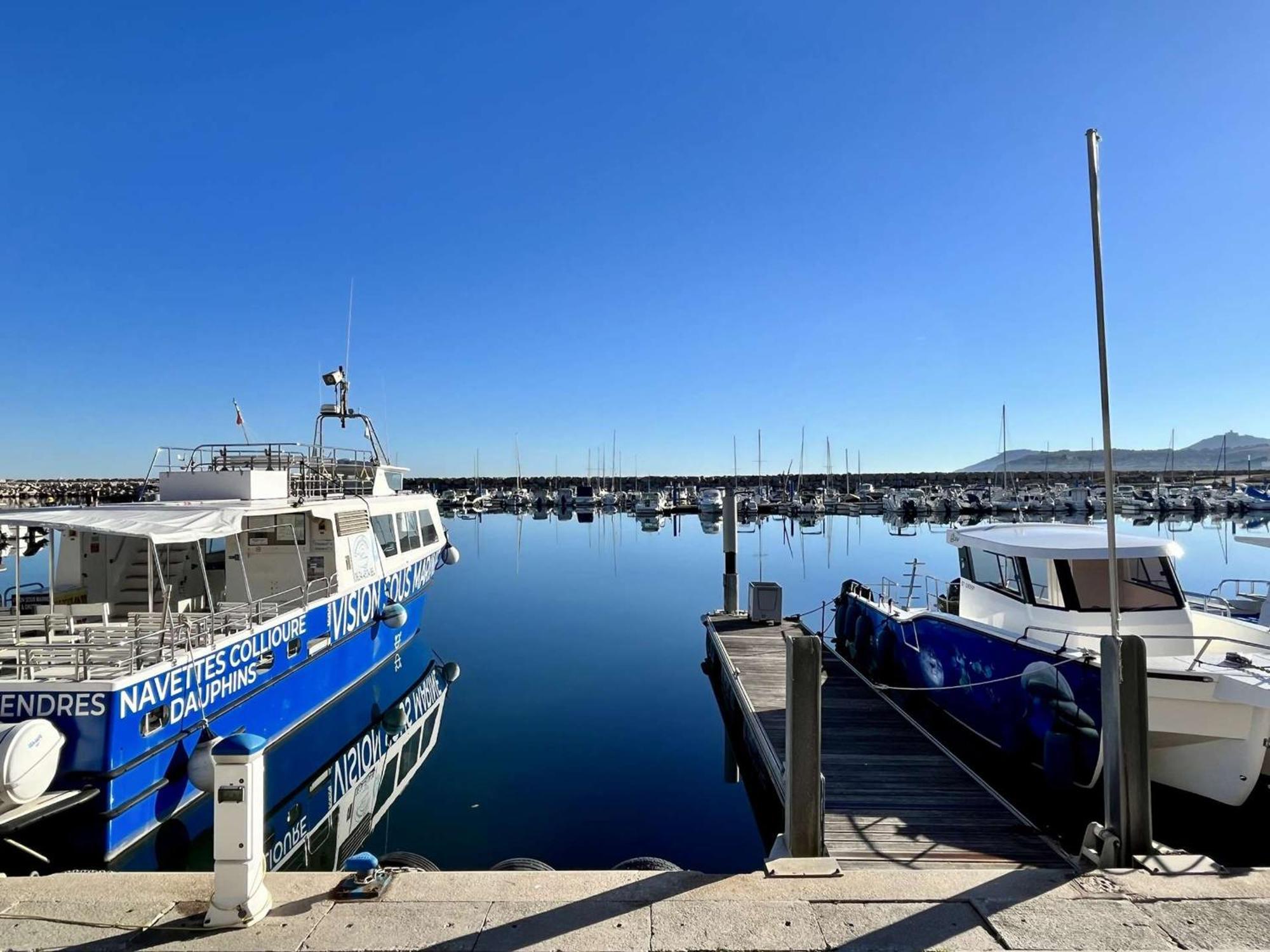 Studio Argelès-sur-Mer, 1 pièce, 4 personnes - FR-1-225-33 Esterno foto