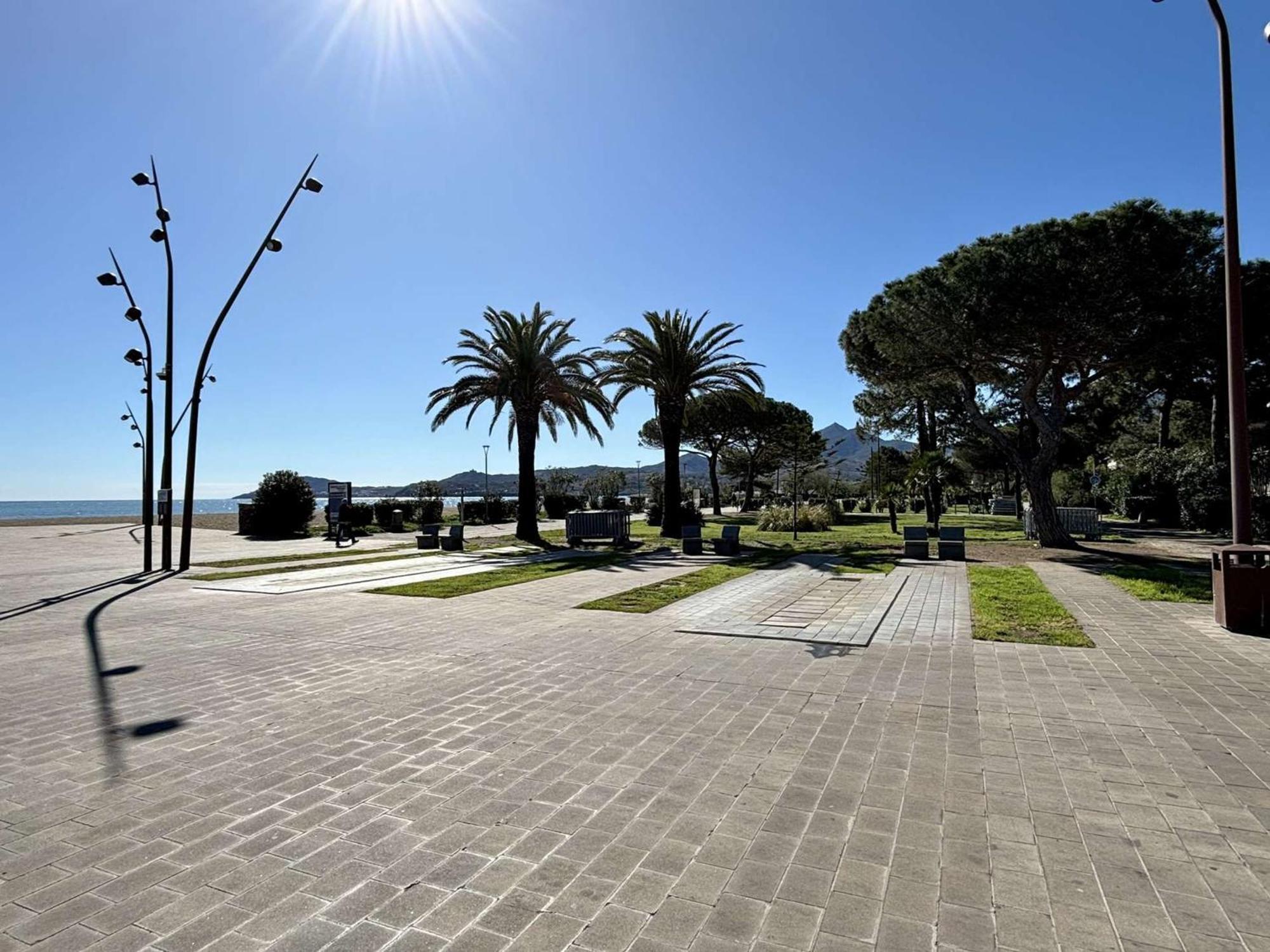 Studio Argelès-sur-Mer, 1 pièce, 4 personnes - FR-1-225-33 Esterno foto